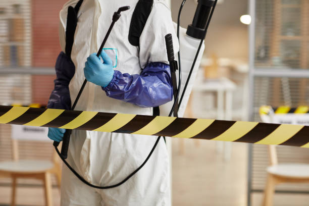 Professional Sewage Cleanup technician working in Blue Springs, MO